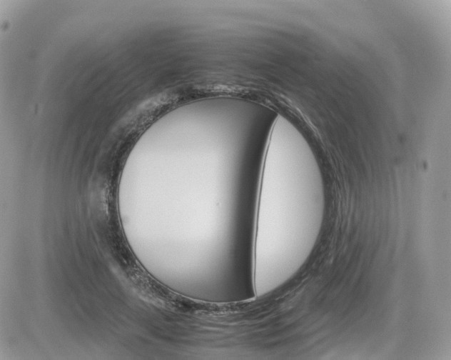 X0000082200643200701191051