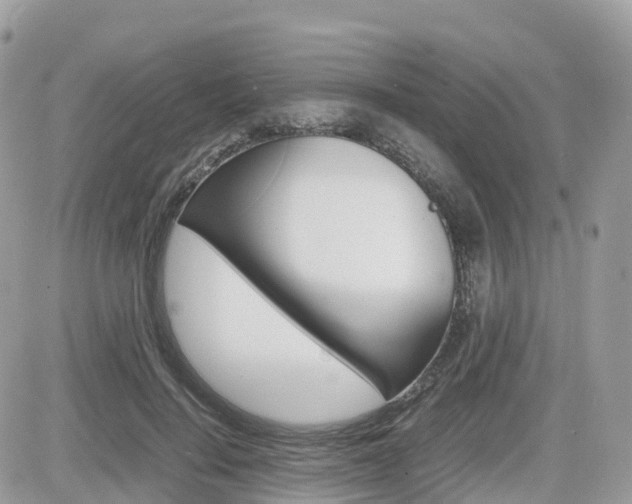 X0000082200644200701191051
