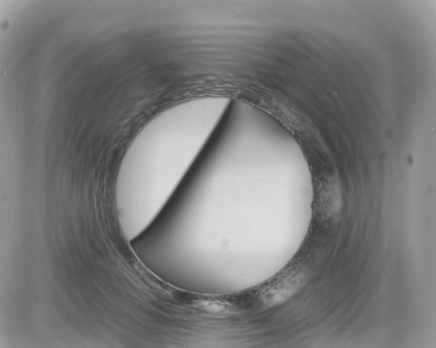 X0000082200654200701191051