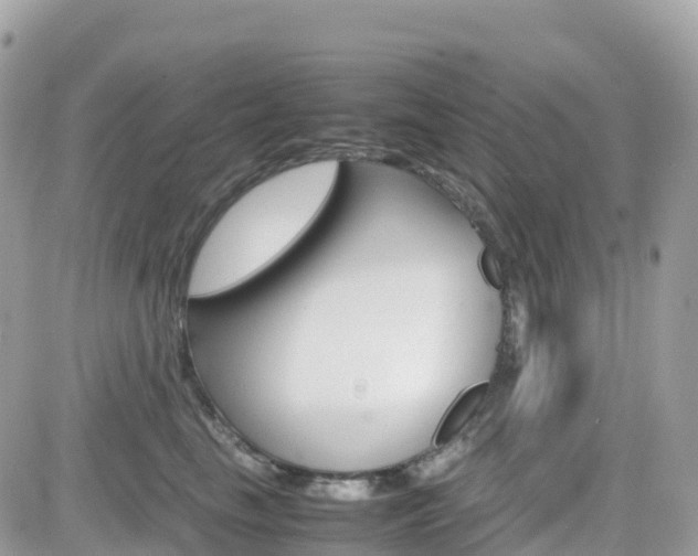 X0000082200665200701191051