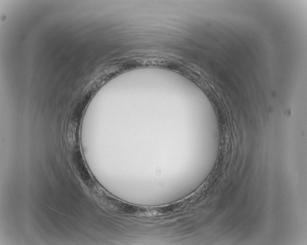 X0000082200695200701191050