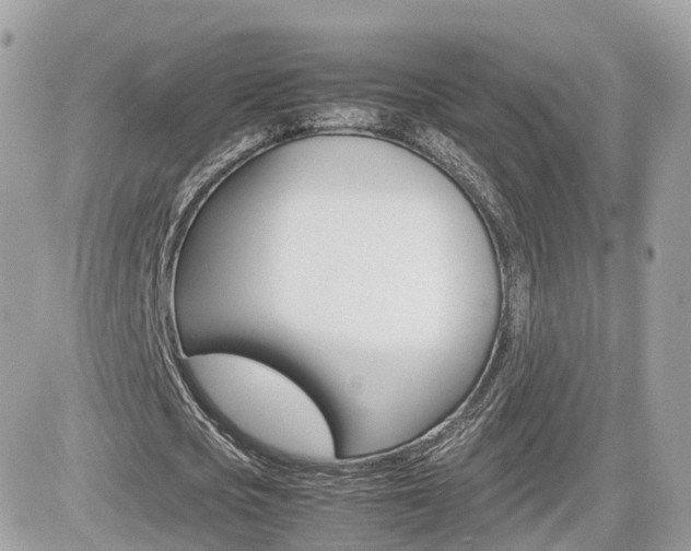 X0000082200721200701191049
