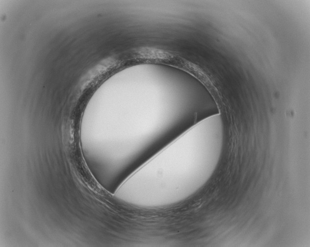 X0000082200731200701191049