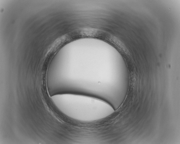 X0000082200738200701191049