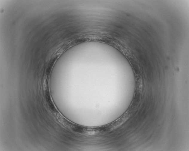 X0000082200746200701191050