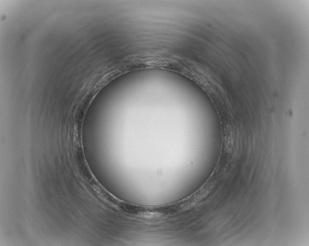 X0000082200748200701191050
