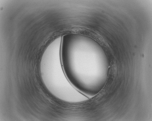 X0000082200750200701191050