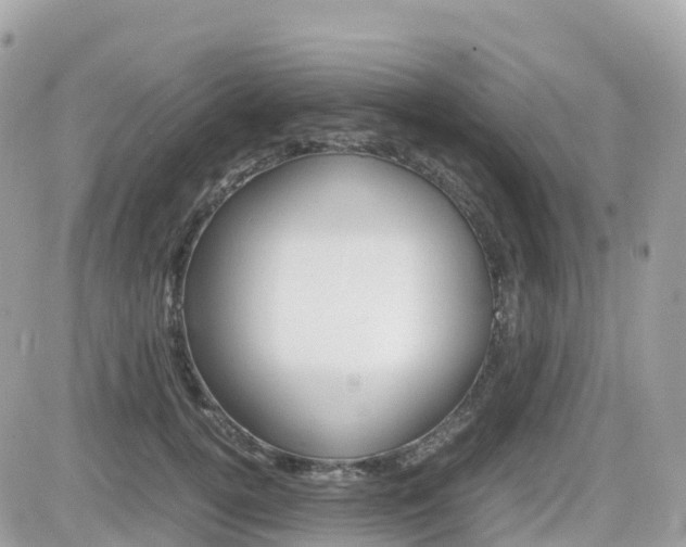 X0000082200752200701191050