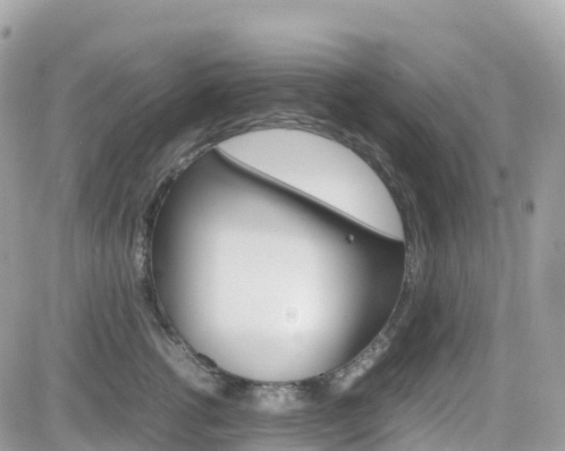 X0000082200762200701191050