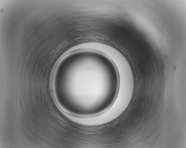 X0000082200766200701191050
