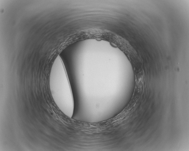 X0000082200772200701191049