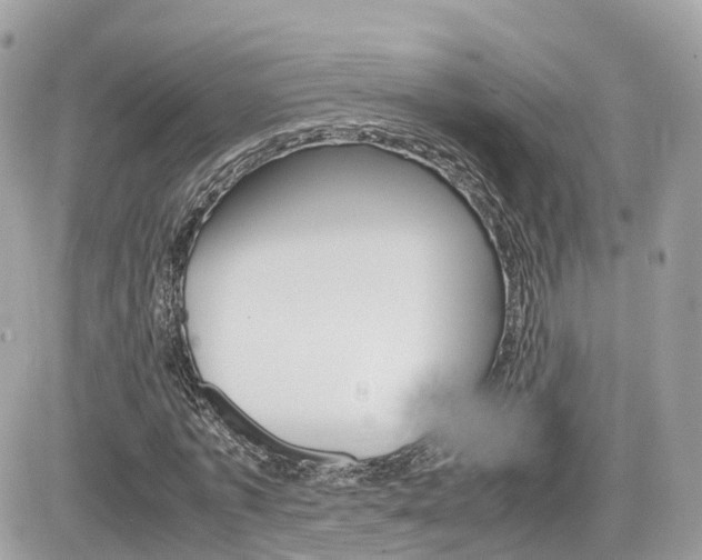 X0000082200773200701191049