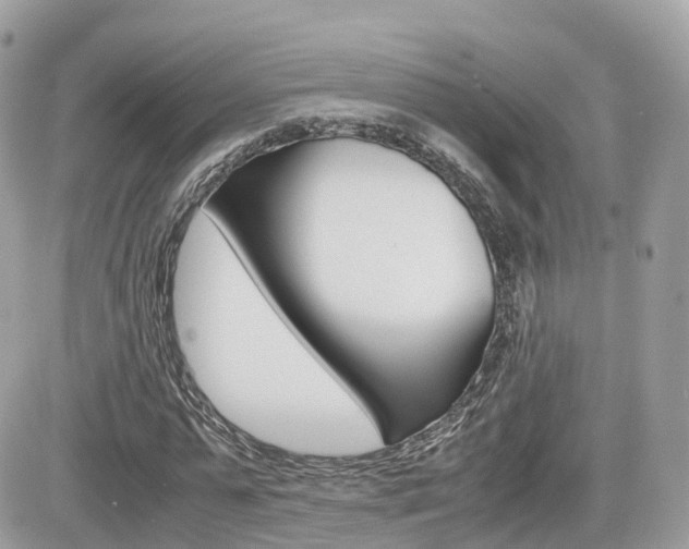 X0000082200775200701191049