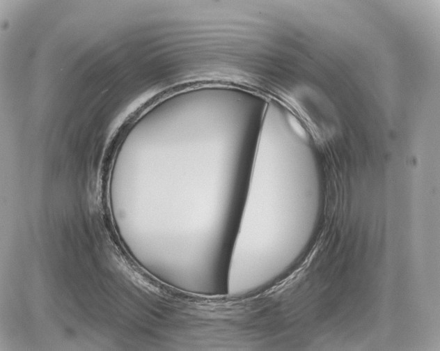 X0000082200780200701191049
