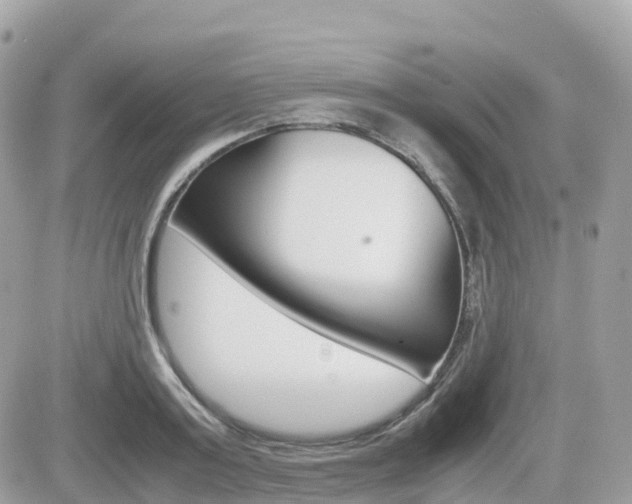 X0000082200795200701191049