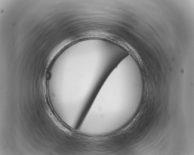 X0000082200796200701191049