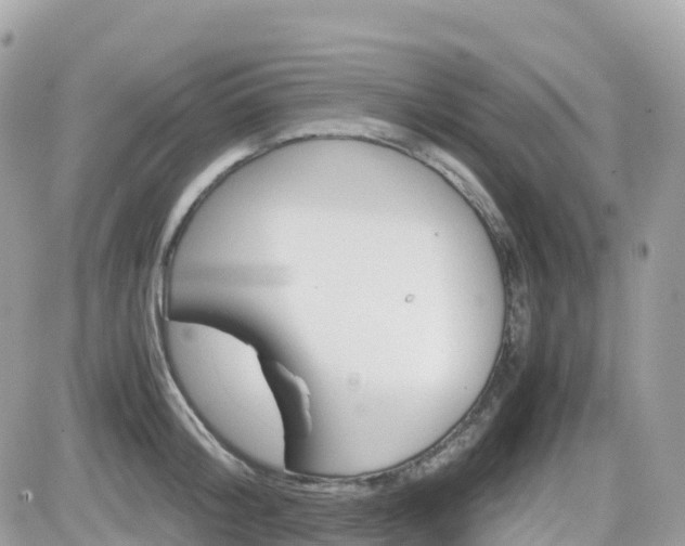X0000082200804200701191049