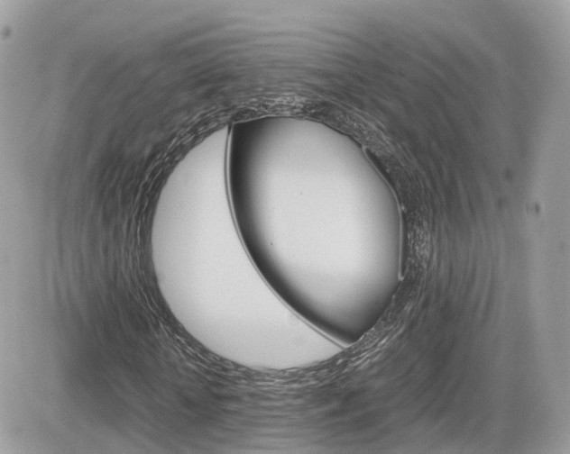 X0000082200818200701191048