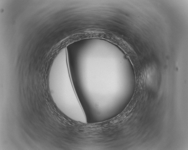 X0000082200821200701191048