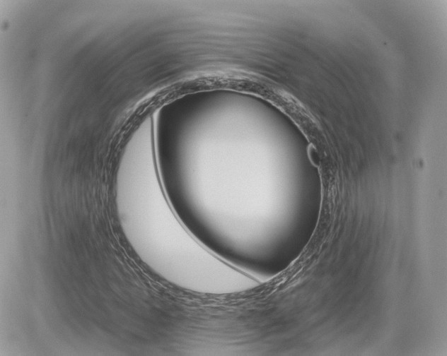 X0000082200822200701191048
