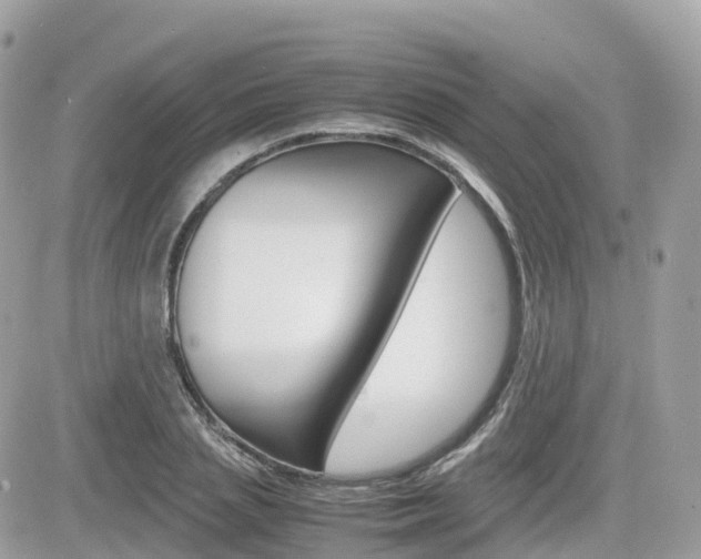 X0000082200837200701191048