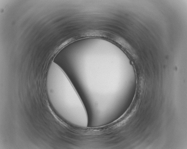 X0000082200841200701191048