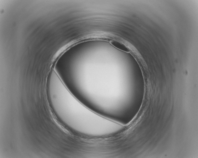 X0000082200842200701191048