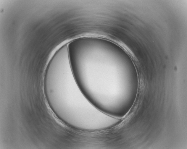 X0000082200854200701191048
