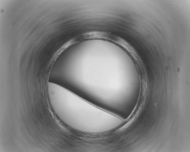 X0000082200857200701191048