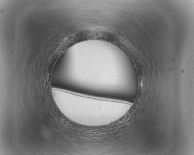 X0000082200867200701191048