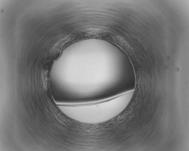 X0000082200868200701191048