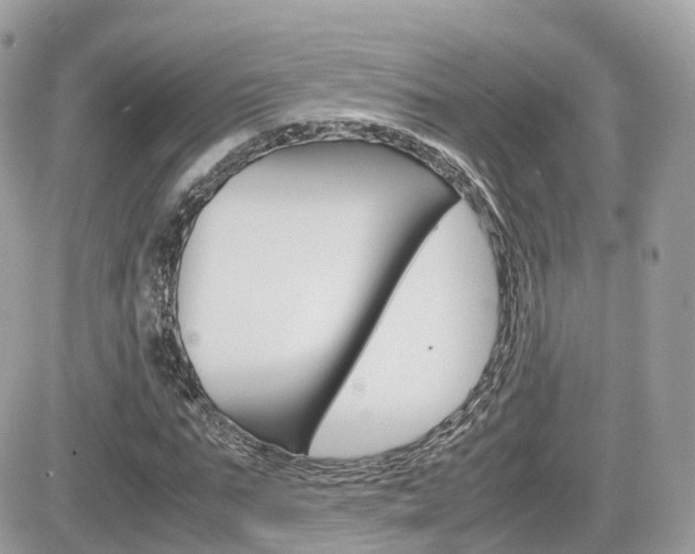 X0000082200871200701191047