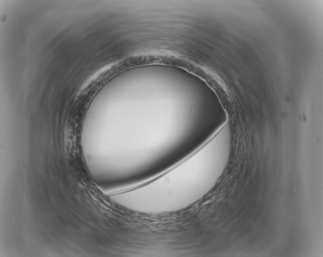 X0000082200872200701191047