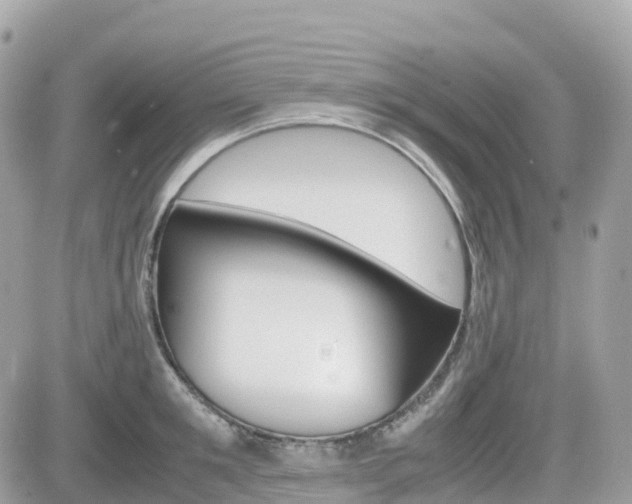 X0000082200901200701191047