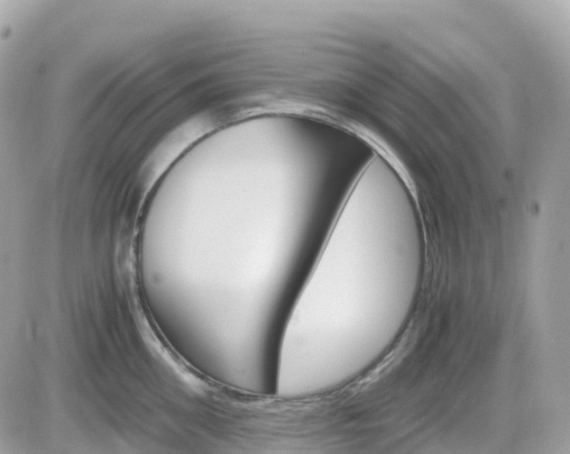 X0000082200906200701191047