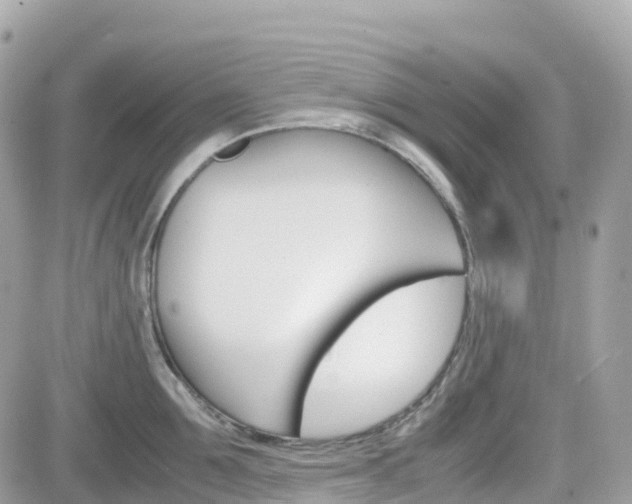 X0000082200907200701191047
