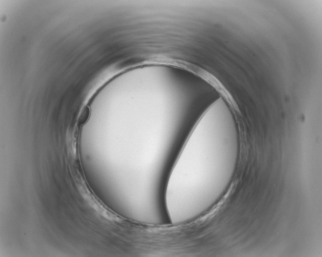 X0000082200908200701191047