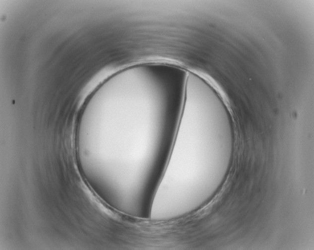 X0000082200910200701191047