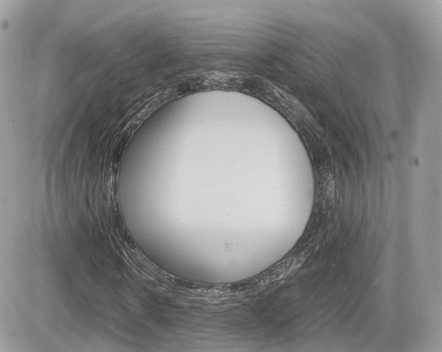 X0000082200914200701191046