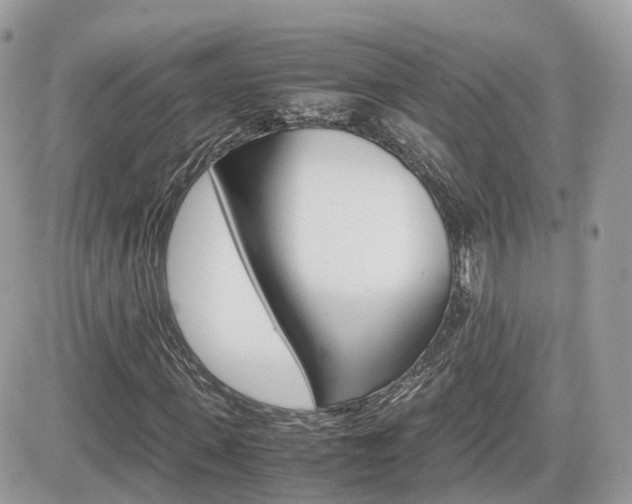 X0000082200915200701191046