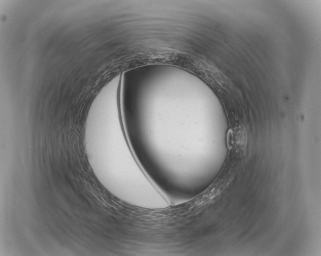 X0000082200916200701191046