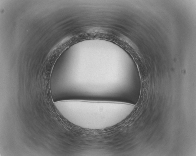 X0000082200919200701191046