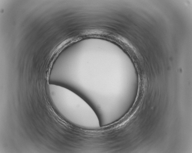 X0000082200921200701191046