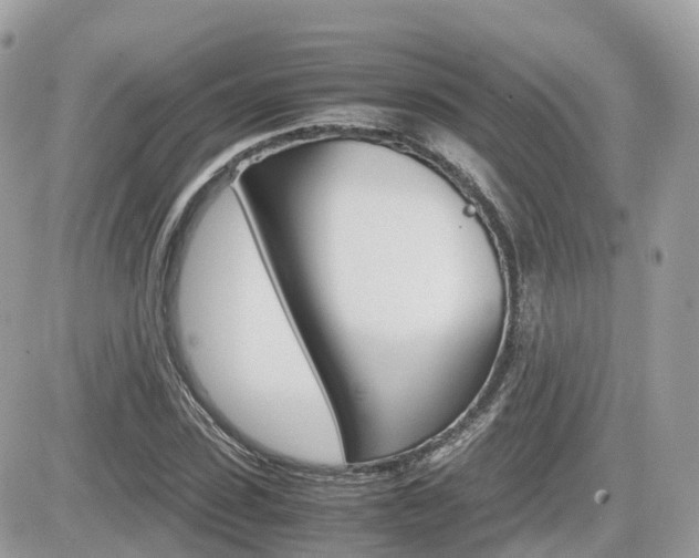 X0000082200923200701191046