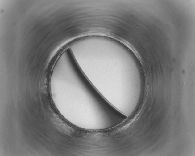 X0000082200926200701191046