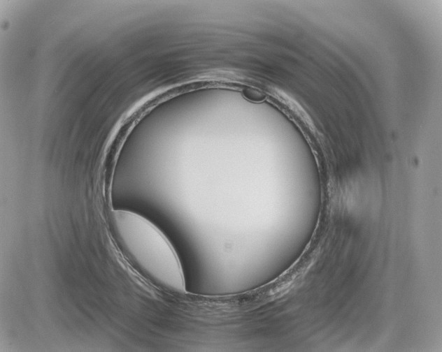 X0000082200931200701191046