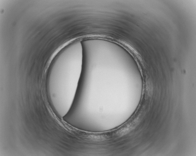 X0000082200933200701191046