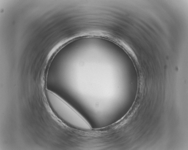 X0000082200944200701191047