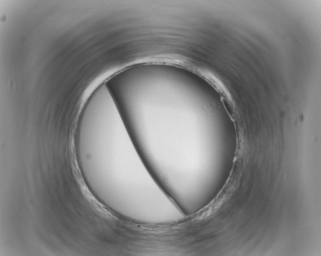 X0000082200952200701191047