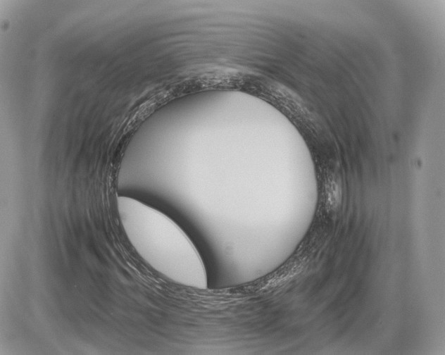 X0000082200964200701191046